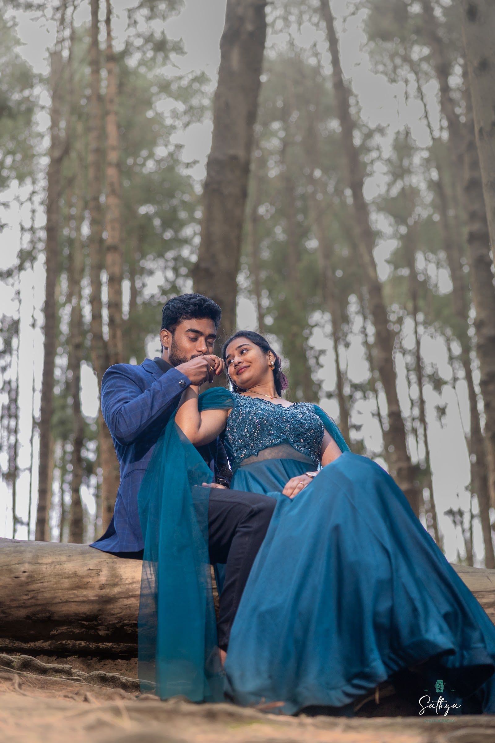 Couple in blue seated on a log in a pine forest